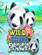 live22 แตก ง่าย: สูตรเด็ดเล่นยังไงให้ปัง